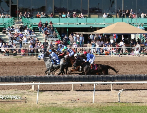 Owner of Turf Paradise plans to stick around for another racing season